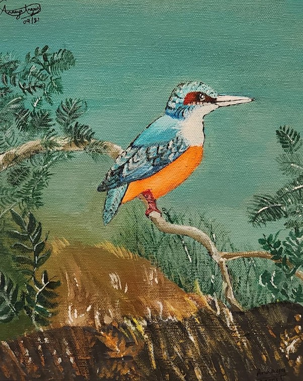 ananya angrish bird