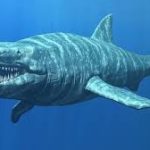 megaladoon